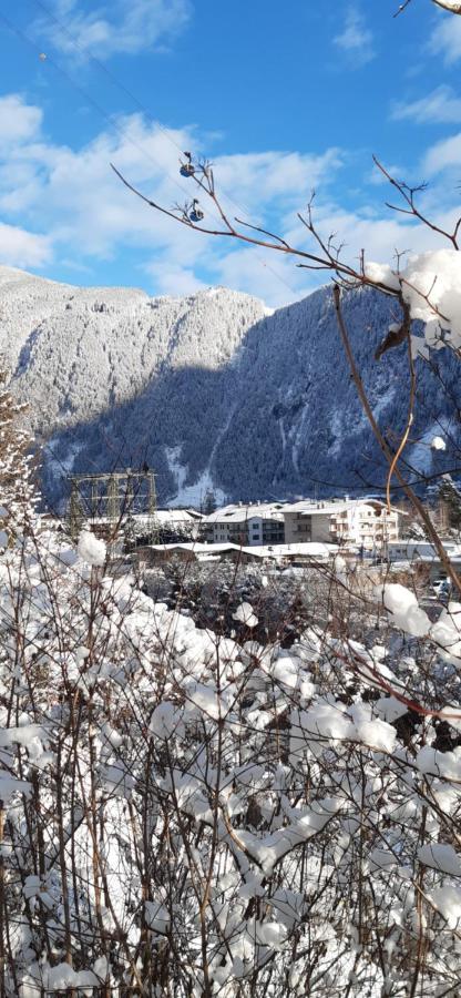 Hotel Haus Bergfriede Mayrhofen Exteriér fotografie